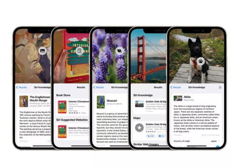 iOS动画方法大揭秘：从零基础到精通的进阶之路