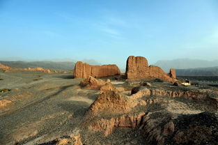 阿克苏之行（八）：春灌绘就丰收景