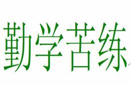 勤学苦练，锻造扎实本领：在实践中成长的个人历程