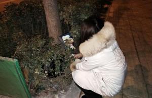 大连医科大学女生出租屋内离世事件背后：真相与反思