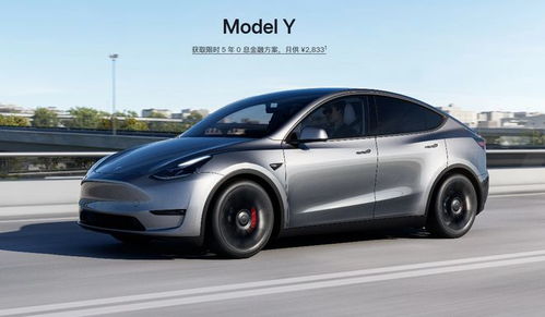 特斯拉FSD入华：一场智驾革命的前夜