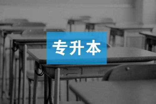 大专生逆袭985研究生：学历歧视下的奋斗之路