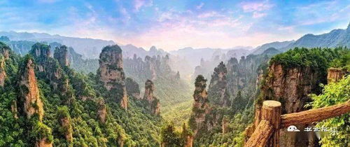 山夫民宿地板：与自然共生的空间疗愈之旅