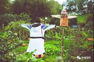 乡下人初探新西兰：发现隐藏的西兰大陆