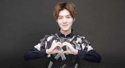 鹿晗起诉侵权网友：网络不是法外之地