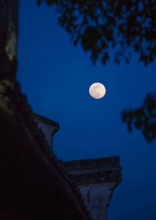 月光下的思念：那些藏在心底的温柔