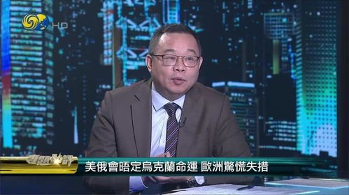 美俄会谈后的乌克兰与欧洲：命运的十字路口