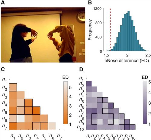 好朋友是基因挑选出来的亲人：从科学角度看友谊的奇妙联系