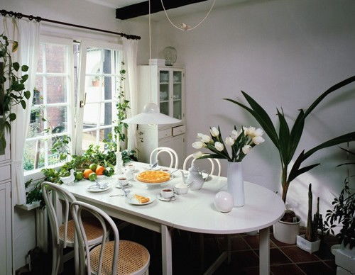 春日的餐桌：舌尖上的春天