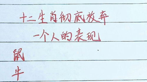 个位数的阅读量：坚持还是放弃？