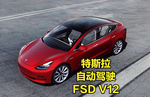 特斯拉FSD入华波折：国内车企的智驾崛起与挑战