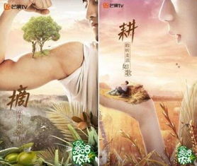 《似锦》定档3月1日：一场古韵与情感交织的视听盛宴