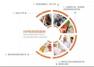 健康呼吸计划：一场关于健康的深度探索