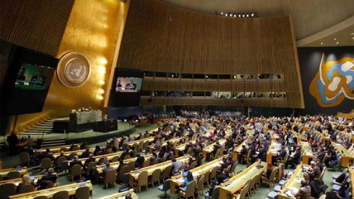 联合国大会上的惊天反转：美俄联手反对乌方提案