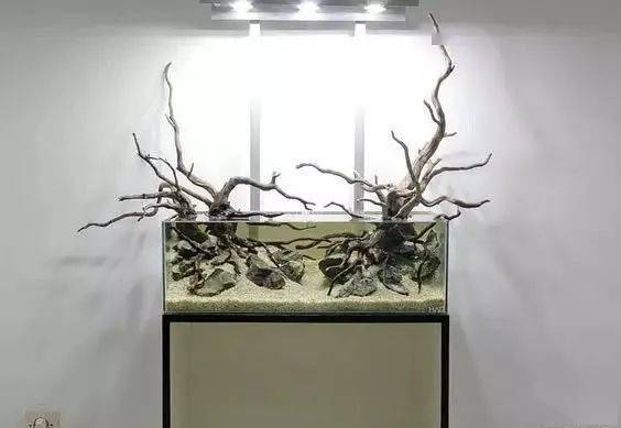 顺其自然，才是最好的生活态度