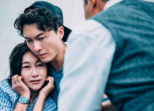 娱乐圈风暴：半个月内四位明星因违法被捕，真相令人震惊