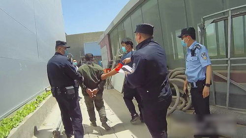 揭秘北京警方抓获的“演员王某”：一条短视频100元，专坑老百姓的新型诈骗