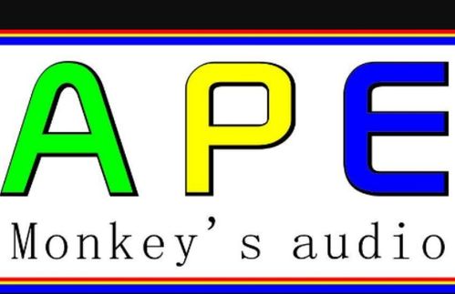 WAV、FLAC、APE 哪个音质更好？一篇文章带你快速了解这些音频格式