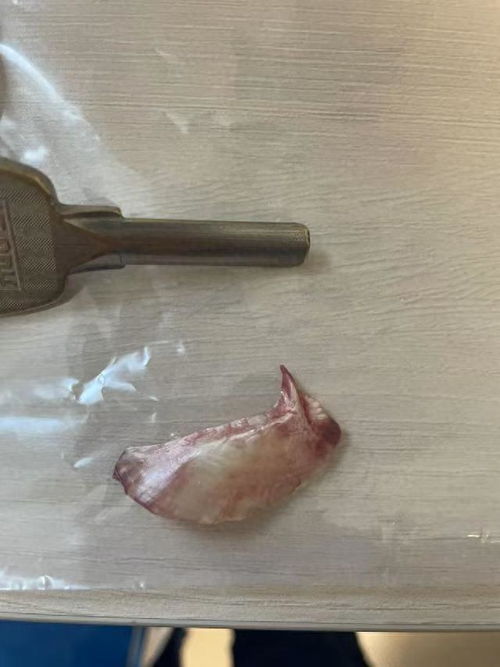 男子假装试衣盗走4万元物品，警方迅速破案真相惊人