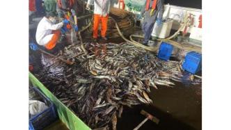 《哪吒2》中的章鱼大将军：为什么能在岩浆中烤自己的腕吃？