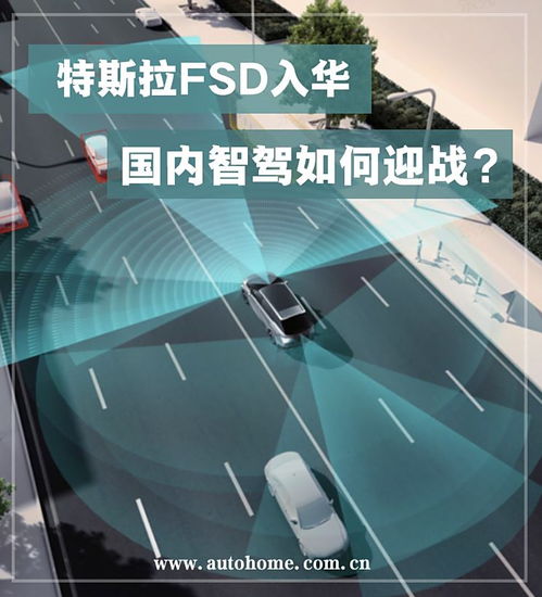 特斯拉FSD入华传闻背后：狼真的来了吗？