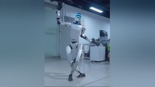 宇树科技G1机器人算法升级：武打动作与舞蹈表演的完美结合