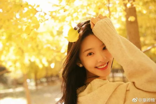 章若楠与温以凡：《难哄》里的野百合之恋