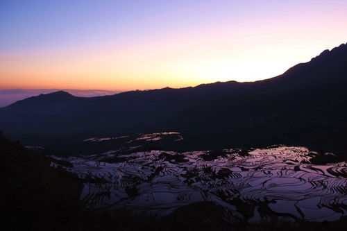 寒峭春风里：在倒春寒中感受诗意与生命的律动