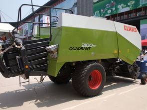 豆包与干粮的误解：一场关于宠物食品的真实故事