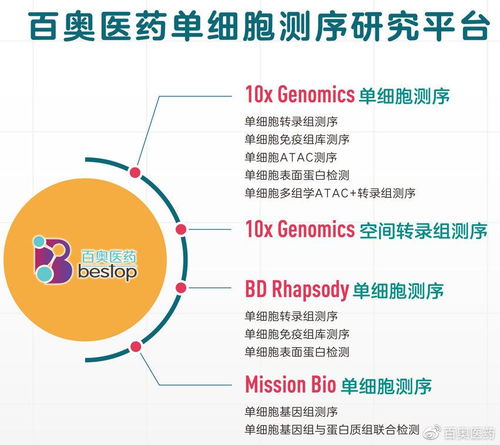 小细胞肺癌研究新突破：空间分析揭示肿瘤异质性与免疫生态位的奥秘