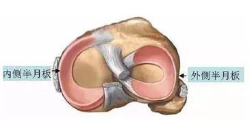 一个半月板损伤的60后在瑜伽垫上的康复运动记录