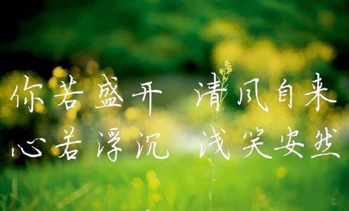 胸有城府心有灵，随波沉浮脚不湿：父母的爱是最深沉的力量