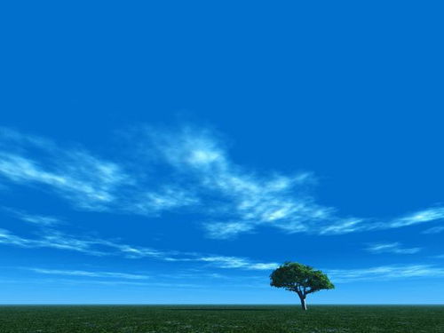 蓝天不是等来的，而是拼出来的：一个普通人的环保感悟