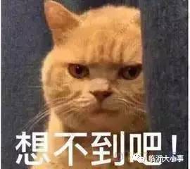 那些得瑟：平凡生活中的小确幸