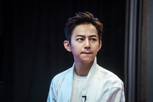 何炅与鬼鬼的奇妙缘分：多年搭档背后的暖心故事