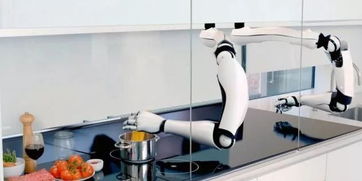 见证未来：我与首个机器人大厨的亲密接触