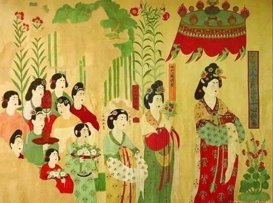 与白居易《买花》同行：一场冬日里的诗意邂逅