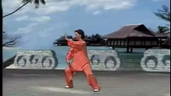 杨丽的太极拳修行之旅：从零基础到精通