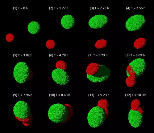 火星曾有海洋和沙滩？祝融号数据揭示惊人真相