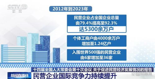 见证奇迹：2024年我国民营经济在外贸领域的亮眼表现