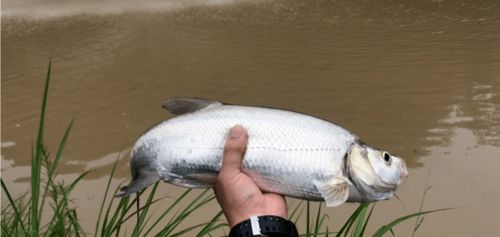 温以凡与桑延的奇妙钓鱼之旅：从平凡到翘嘴的蜕变