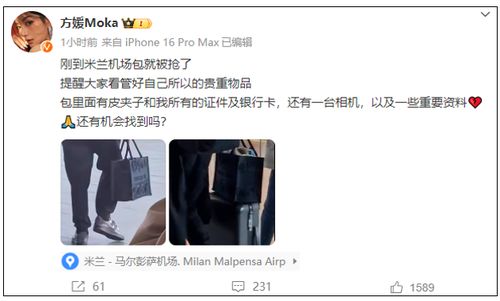 郭富城妻子米兰遭遇包被抢：从天而降的意外与安全警钟