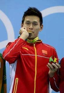 孙杨复出之路：从禁赛到冠军，他用坚持诠释热爱