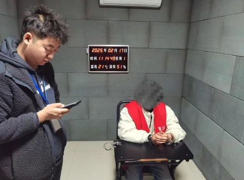 四川破获首起侵犯《哪吒2》影视权案：一场知识产权保护的胜利