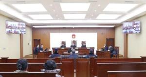 震惊！交管局长私藏369发子弹，背后真相令人深思