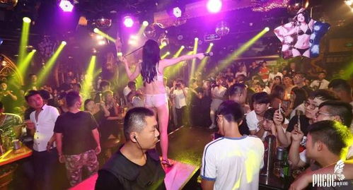 一天俱乐部：在“智简”课堂中找到归属感