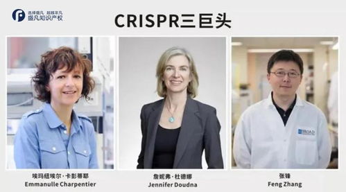 姜凯的CRISPR文化编辑：用基因剪刀重塑组织价值观