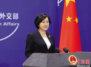 华春莹卸任外交部发言人，新职务引发热议