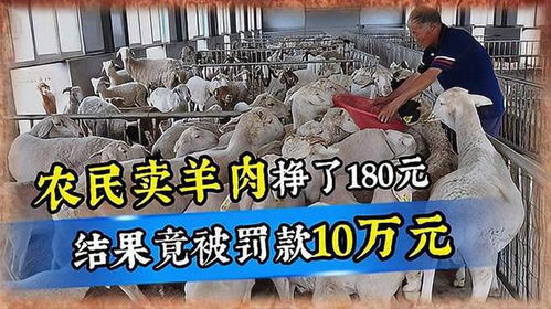农民卖羊肉被重罚事件反转：从10万到1万，公平正义的回归