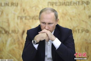 普京提议向美国提供稀土：背后的战略考量